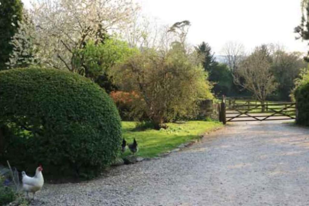Stunning Stone Cottage On Bath'S Doorstep Box  Exterior photo